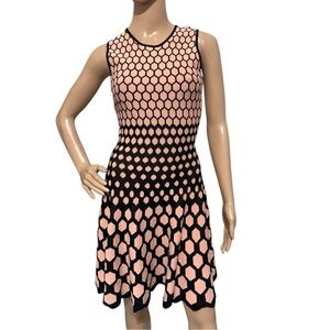 Soodee Silk Cotton Knit Fit and Flare Stretch Dress Size M